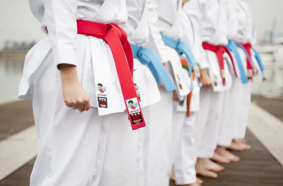 Ceinture compétition Karate SHUREIDO Kata Rouge ou bleu Coton - WKF 6 Ceinture compétition Karate SHUREIDO Coton – Approuvée WKF