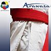 Kimono Karate Kata Deluxe Evo Combo Set – Premier League - rouge -bleu