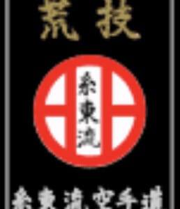 Karaté Shitō-ryū