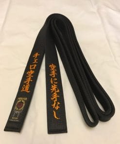 ceinture-noire-de-karate-hirota-B-601-spécial-soie