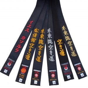 Ceintures Noires de Karate