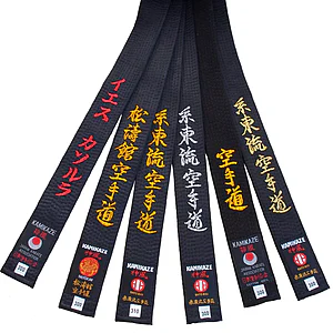Ceintures Noires de Karate