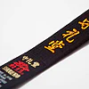 ceinture-noire-karate-shureido-coton-zoom-broderie