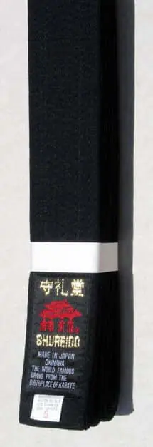 ceinture-noire-karate-shureido-zoom-coton