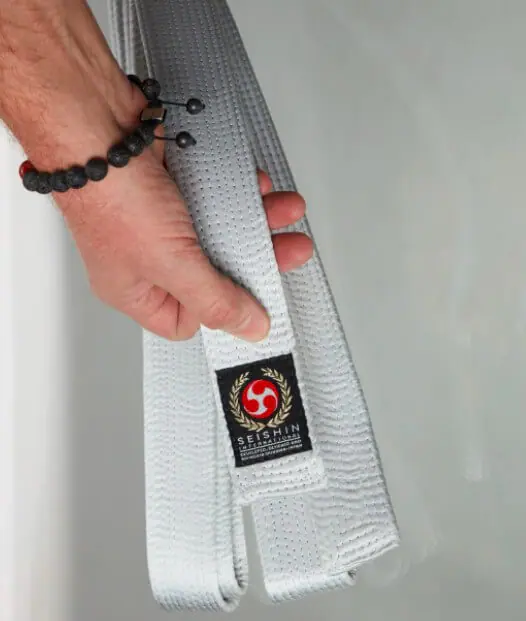 Ceinture Shoshin de Seishin-Internationnal 4 ceinture-shoshin-
