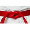 ceintures-de-competition-seishin-international-wkf-rouge-satin