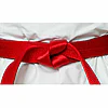 ceintures-de-competition-seishin-international-wkf-rouge-satin