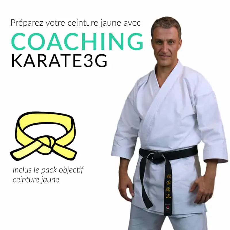 Cours de Karate en ligne Ceinture jaune PACK OBJECTIF Karate3G™ 4 coaching-karate3g-ceinture-jaune-formation-de-karate-en-video