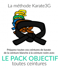 Cours de Karate en ligne Ceinture Blanche à Noire PACK OBJECTIF Karate3G™ vidéo