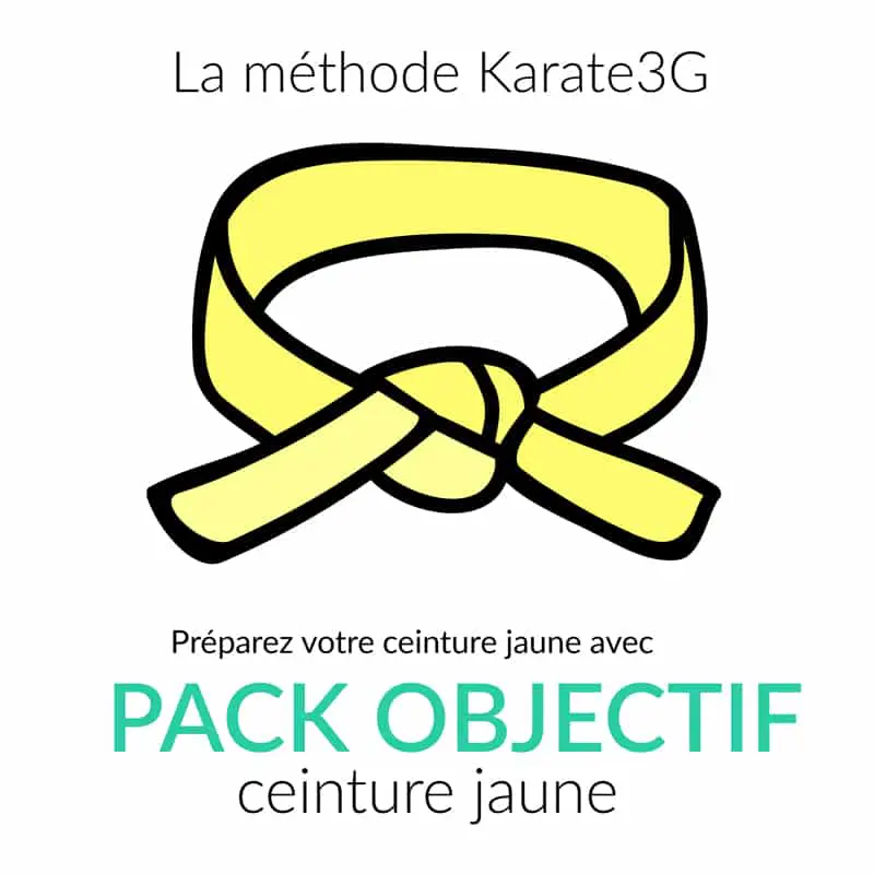 Cours de Karate en ligne Ceinture jaune PACK OBJECTIF Karate3G™ 3 Cours de Karate en ligne Ceinture jaune PACK OBJECTIF Karate3G™ video