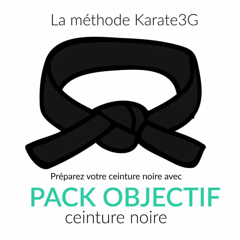 Cours de Karate en ligne Ceinture Noire PACK OBJECTIF Karate3G™ 3 Cours de Karate en ligne Ceinture Noire PACK OBJECTIF Karate3G™ vidéo