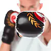gants-de-combat-seishin