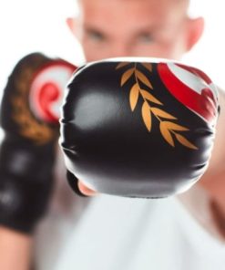 gants-de-combat-seishin
