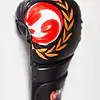 gants-de-combat-seishin,
