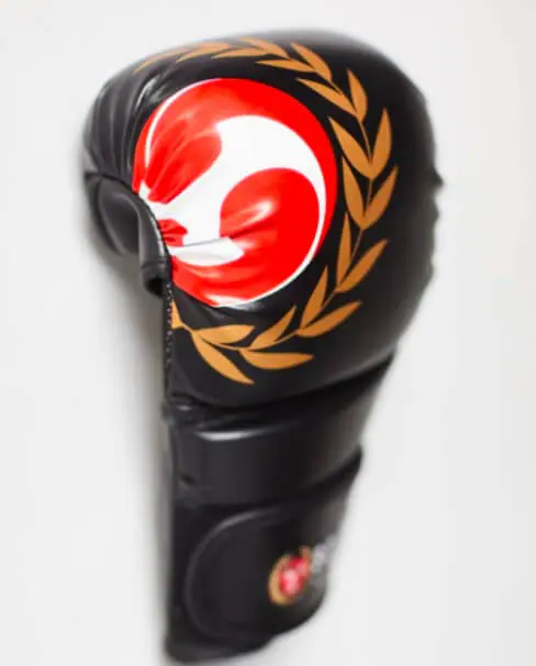 gants-de-combat-seishin,