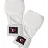 gants-de-karate-tokaido-jka-blanc