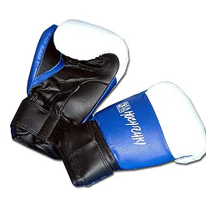 Protections Yoseikan Budo