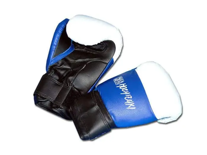 Gants de Yoseikan Budo - Noris-320620 mitaines