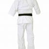 karate-gi-budo-fight-kumite-kyokushinkai-dos
