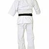 karate-gi-budo-fight-kumite-kyokushinkai-dos