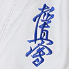 karate-gi-budo-fight-kumite-kyokushinkai-logo