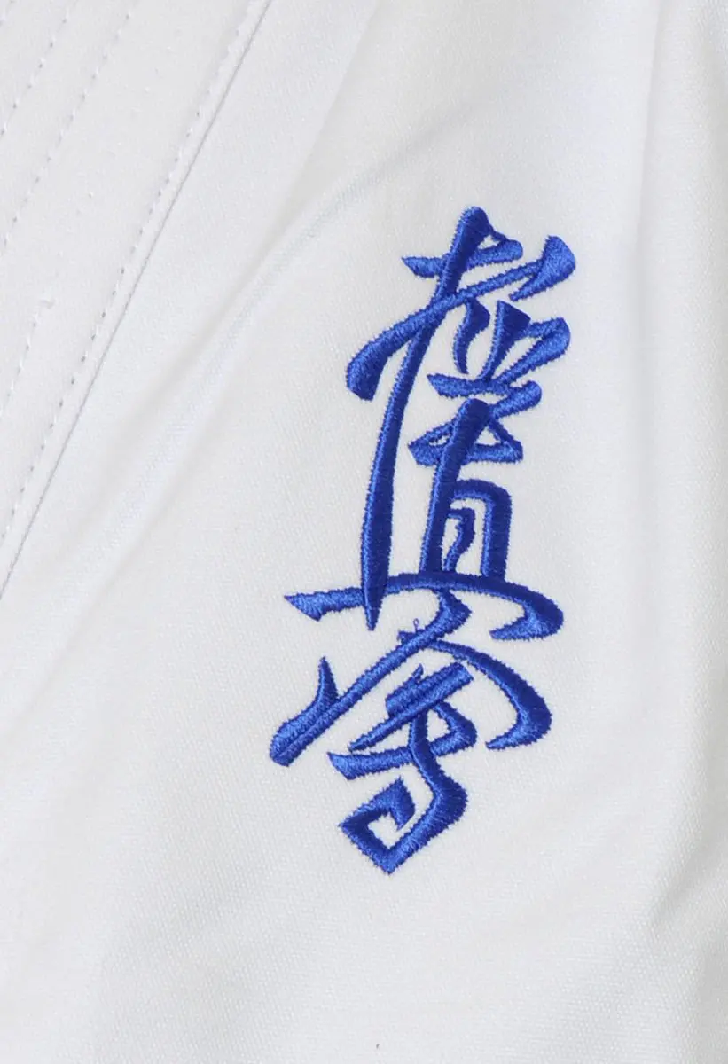 karate-gi-budo-fight-kumite-kyokushinkai-logo