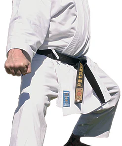 karate-gi-kimono-kamikaze-fudoshin-manji-uke-kokutsu-dashi