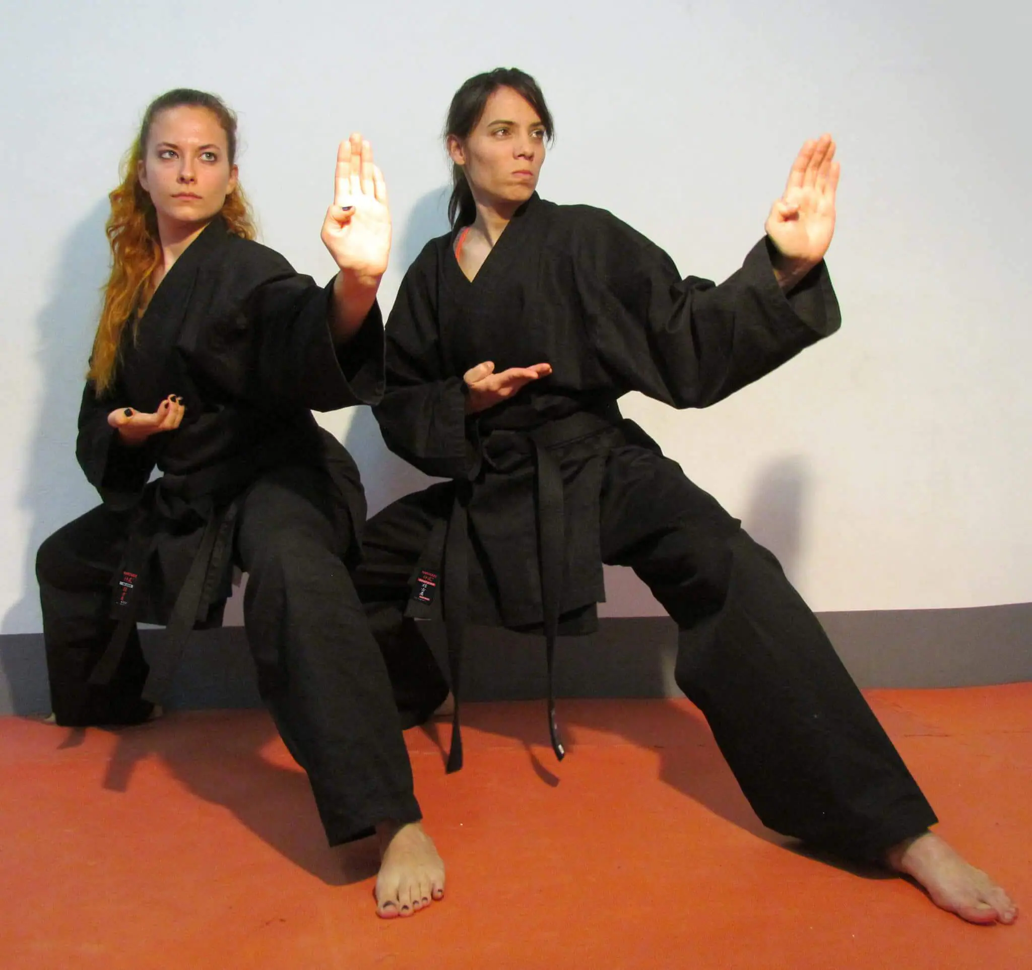 kimono-karate-gi-kamikaze-basic-black-noir-kobudo-kokustu-dachi-tate-shuto-uke-jodan