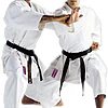 kimono-karate-gi-kamikaze-monarch-fudo-dachi-tate-shuto