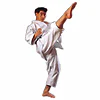 kimono-karate-gi-sensei-tournament-tk10-shureido-mae-geri-jodan