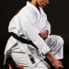 kimono-karate-gi-shureido-new-wave-3-wkf-approved-tsuki-gedan