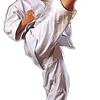 kimono-karate-gi-shureido-sensei-tk10-mae-geri-jodan-zoom