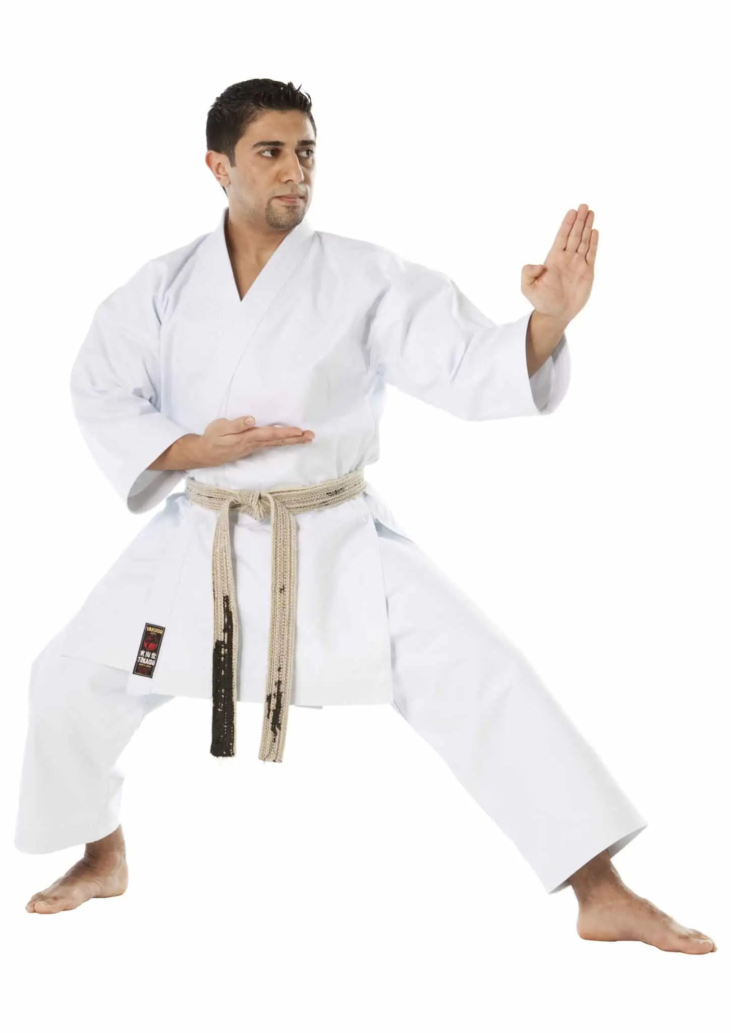 Kimono Tokaido TSA YAKUDO - Kata - Fabriqué au Japon 3 kimono-karate-gi-tokaido-tsa-yakudo-kata-aty--kokutsu-dashi-shuto-kamae
