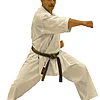 Kimono Shureido Sempai Tournament TK11 - Blanc-gyaku-tsuki