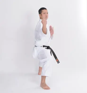 Kimono Tokyodo SP-1000 Professionnel 3 Kimono Tokyodo SP-1000 karate-gi