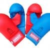 mitaine-gant-protection-karate-avec-pouce-rouge-bleu-kamikaze