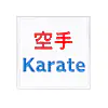 patchs-velcro-pour-sacs-tokaido-karate