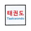 patchs-velcro-pour-sacs-tokaido-taekwondo