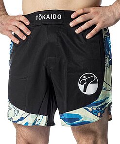 Short Tsunami Tokaido