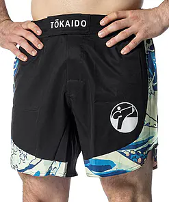 Short Tsunami Tokaido